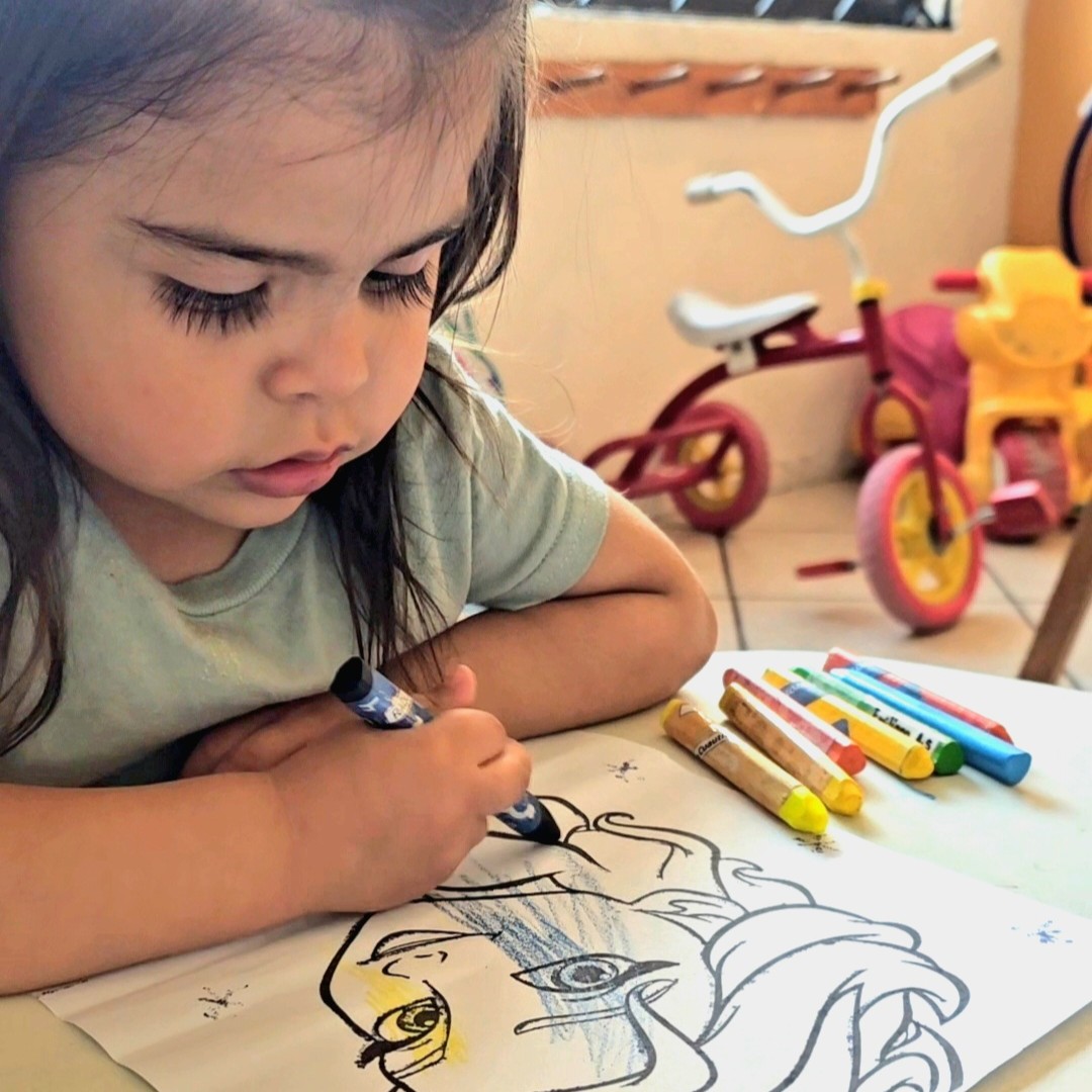 Colegio Salvador Díaz Mirón - ¿Quiénes Somos?