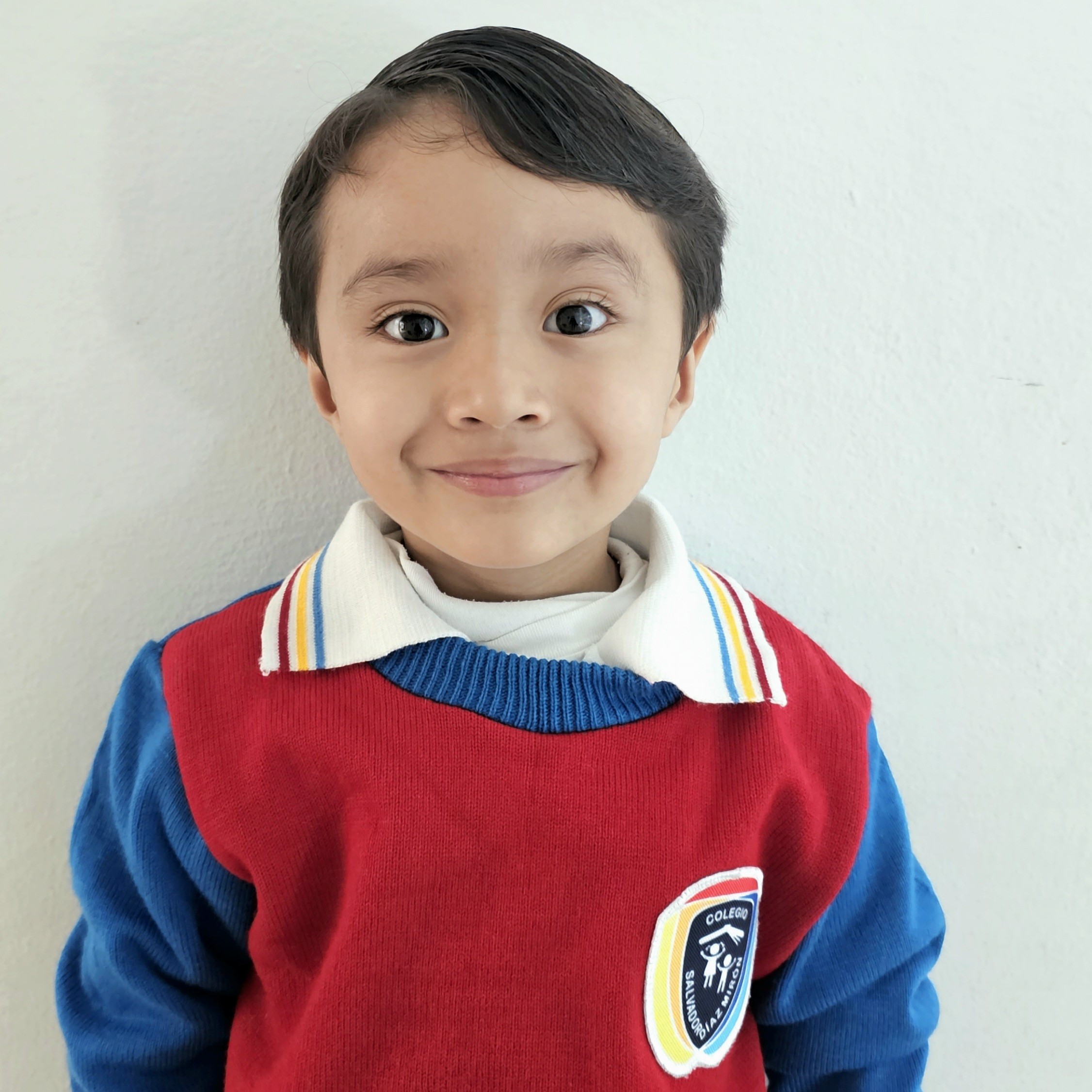 Colegio Salvador Díaz Mirón - ¿Quiénes Somos?