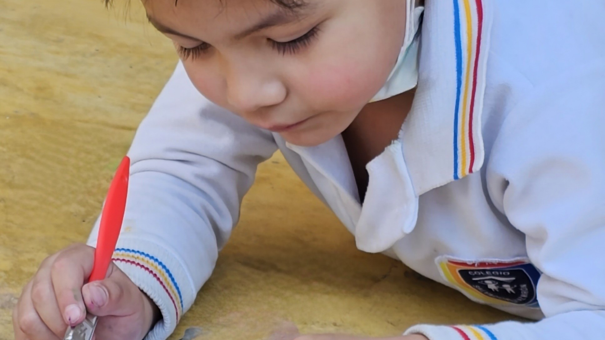 Colegio Salvador Díaz Mirón - Kinder